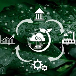 Introduction to Circular Economy (summer course)