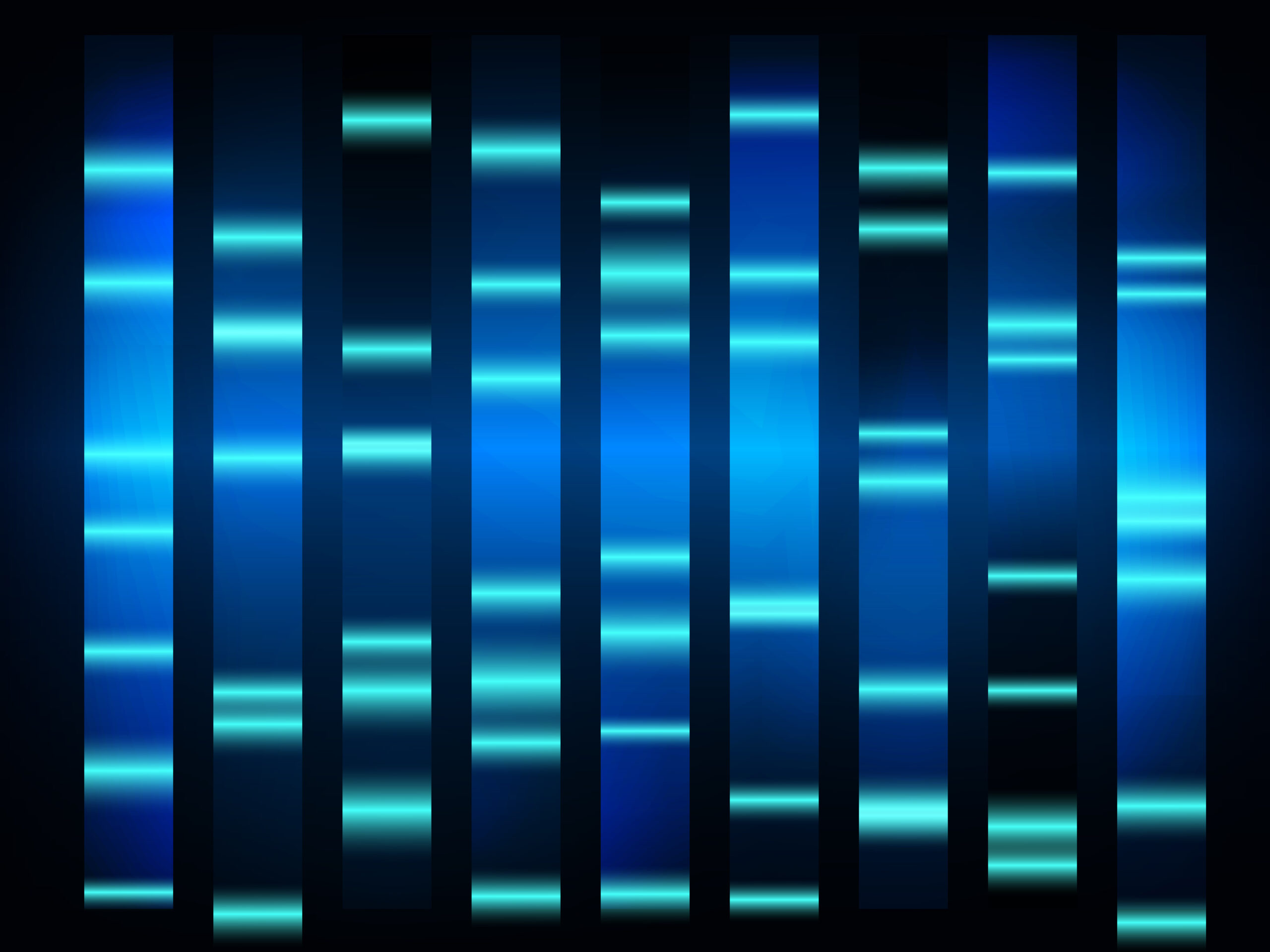Molecular characterization of biomolecules by Capillary Electrophoresis