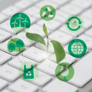 Körforgásos gazdaság menedzser